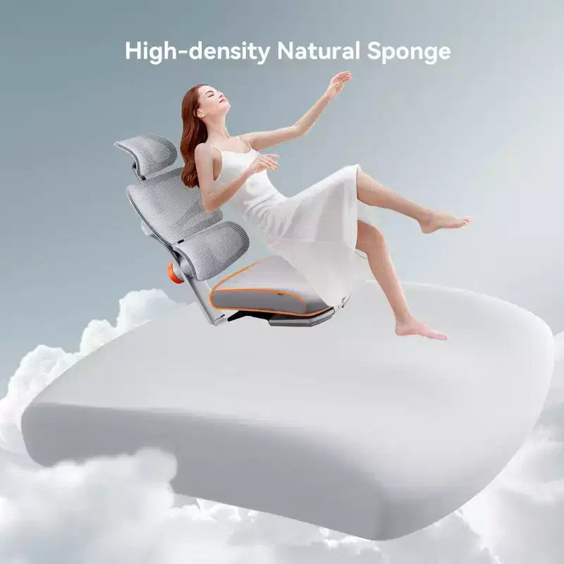 Chaise de bureau ergonomique Newtral avec repose-pieds - Fauteuil inclinable avec accoudoirs 4D - NT002+LAPD-GRAY